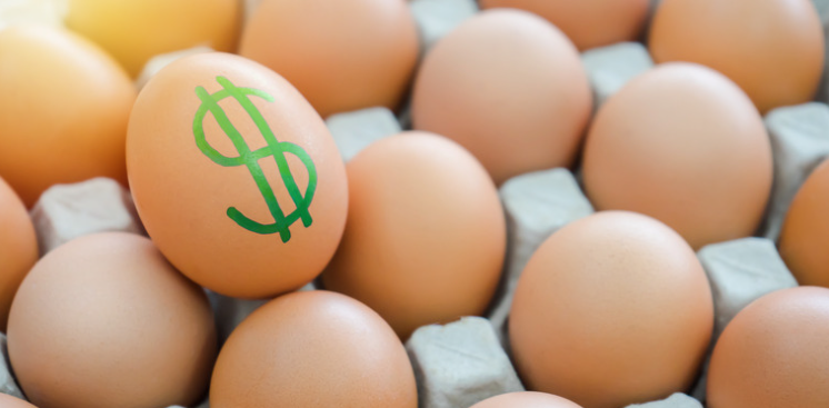 Egg Surplus Food Prices Nutrition — Expert Insights Egg Surplus Impacts Food Prices and Nutrition